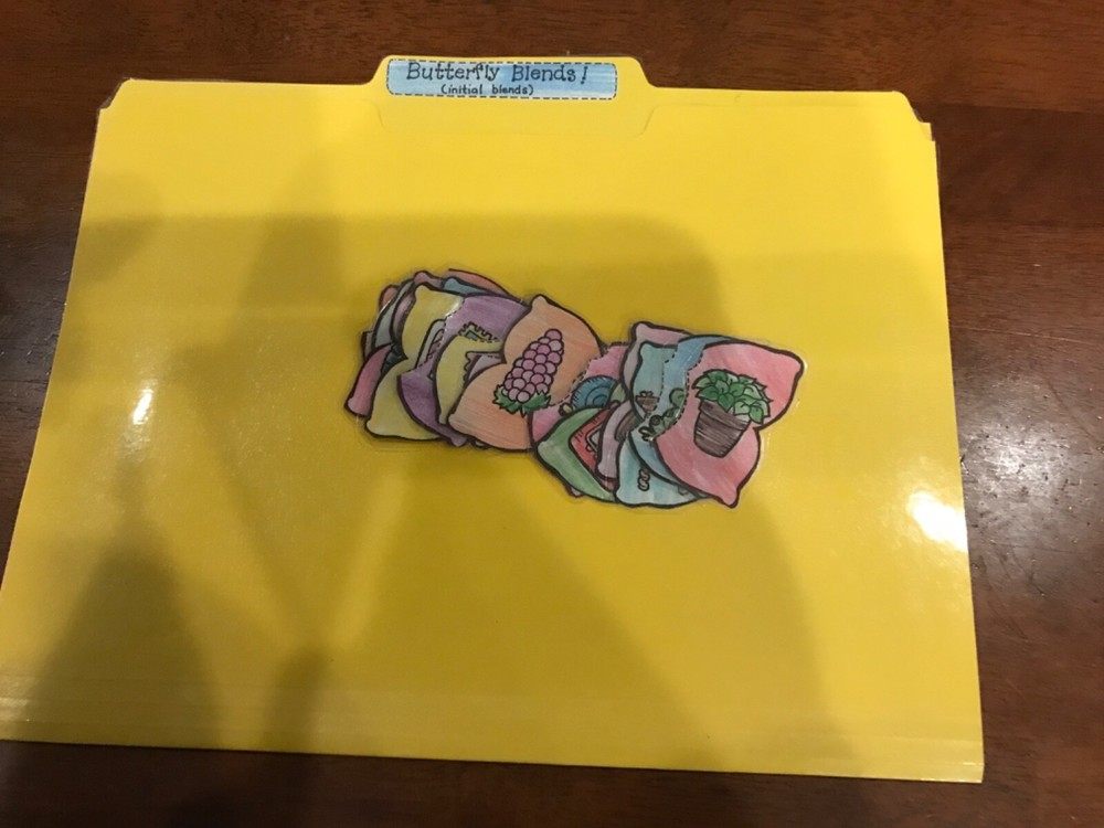 Butterfly Blends! Initial Blends  1st grade language arts file folder game