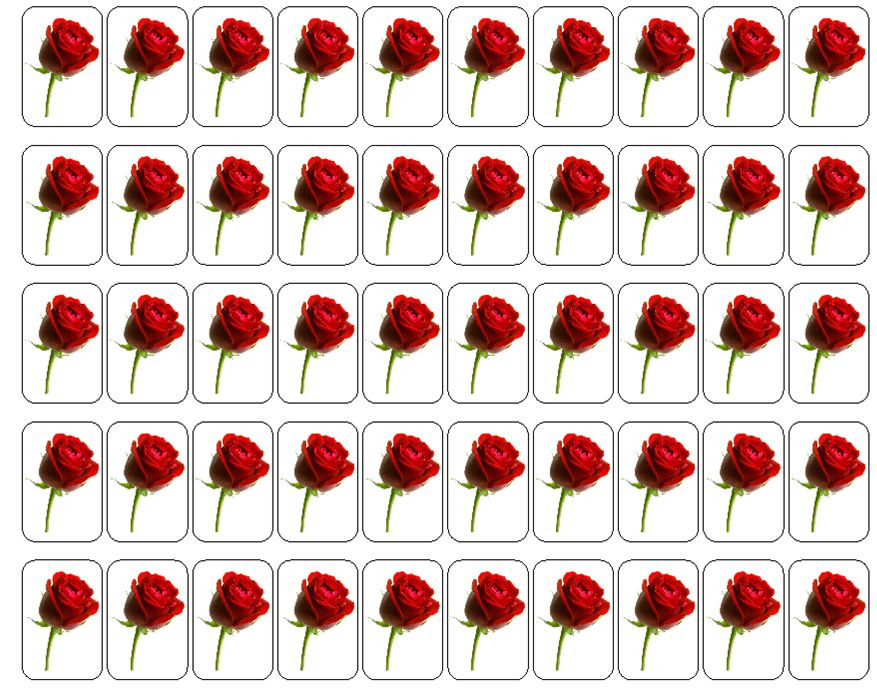50 Red Rose Envelope Seals / Labels / Stickers, 1" by 1.5"
