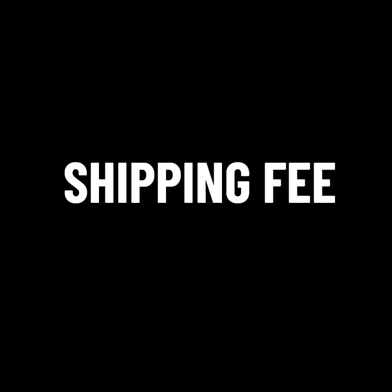 SHIPPING FEE For VIP DHL/UPS