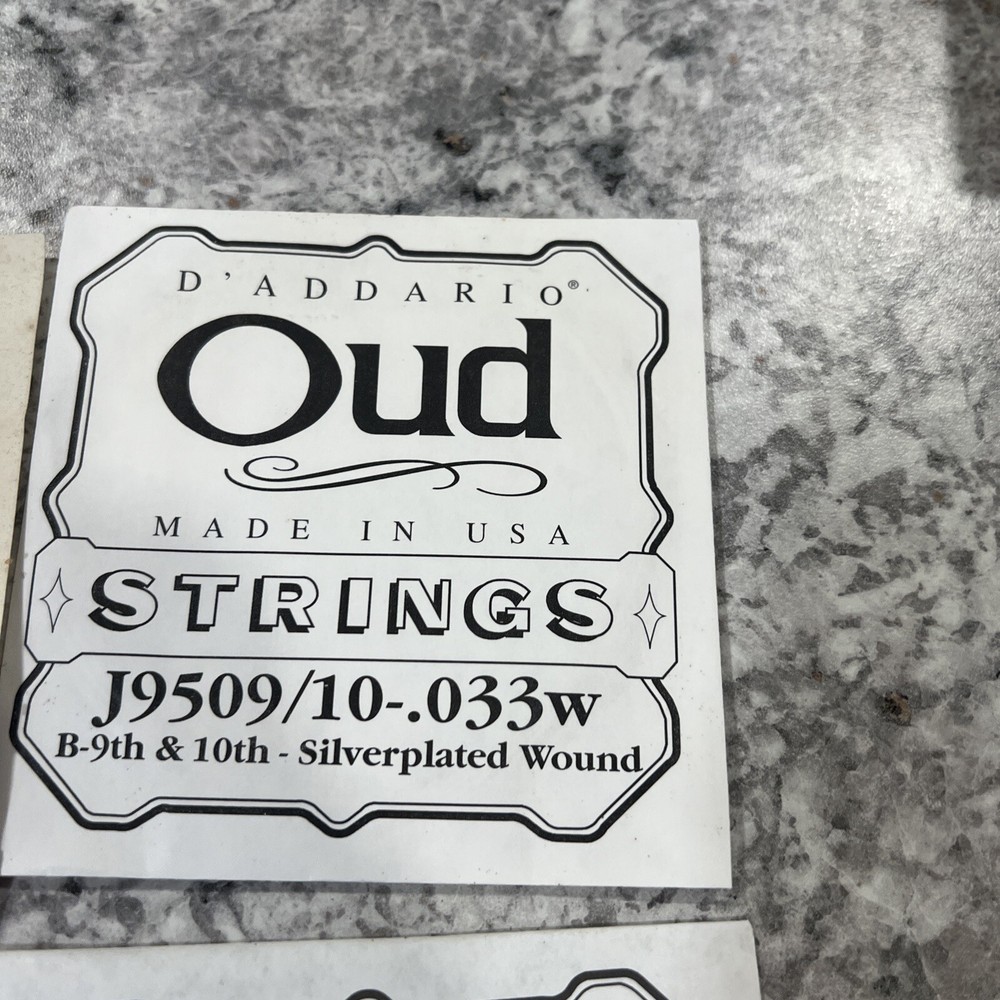 D'Addario EJ95 Oud 11-String Set