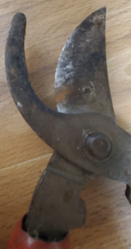 Aames 121 Tree Limb Bypass Lopper