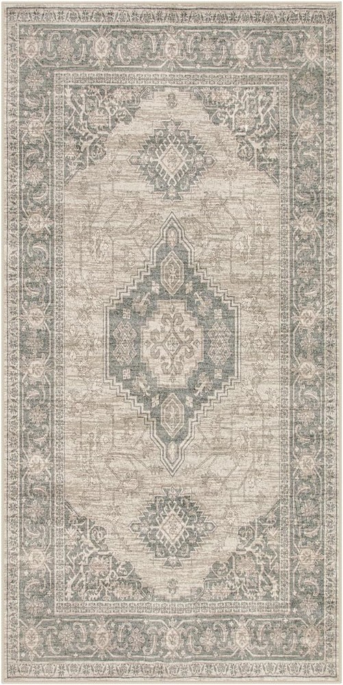 Lahome Oriental Small Area Rug, 2x4 Washable 2'x4'（Rectangular）, Grey/Brown