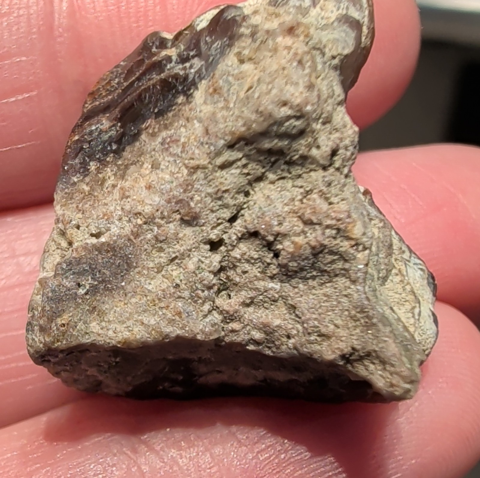 Polished Partial Fire Agate with Iridescent Specimen 7.9 grams