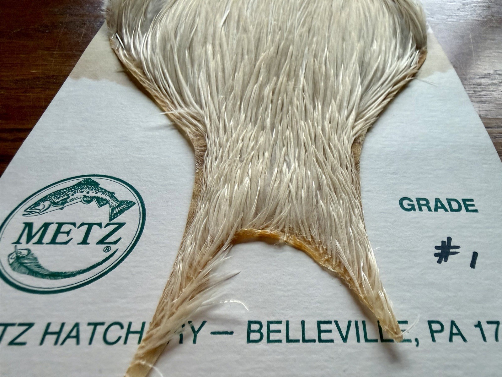 Metz Grade #1 Cape Cream 538-SH-E-L