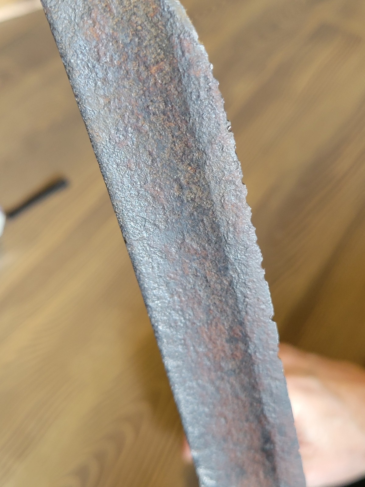 Napoleonic War-Civil War French Saber Cut-Down