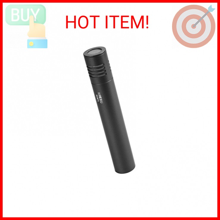 HEIMU Professional Condenser Microphone (Condenser Mic)