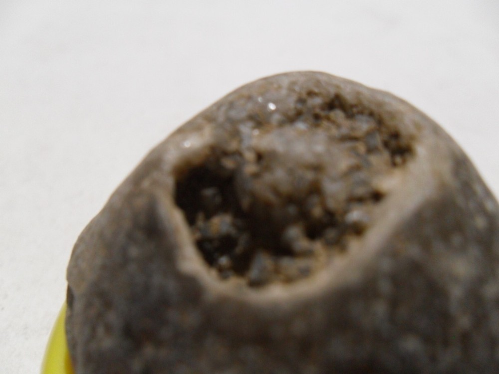 Crystal Brachiopod