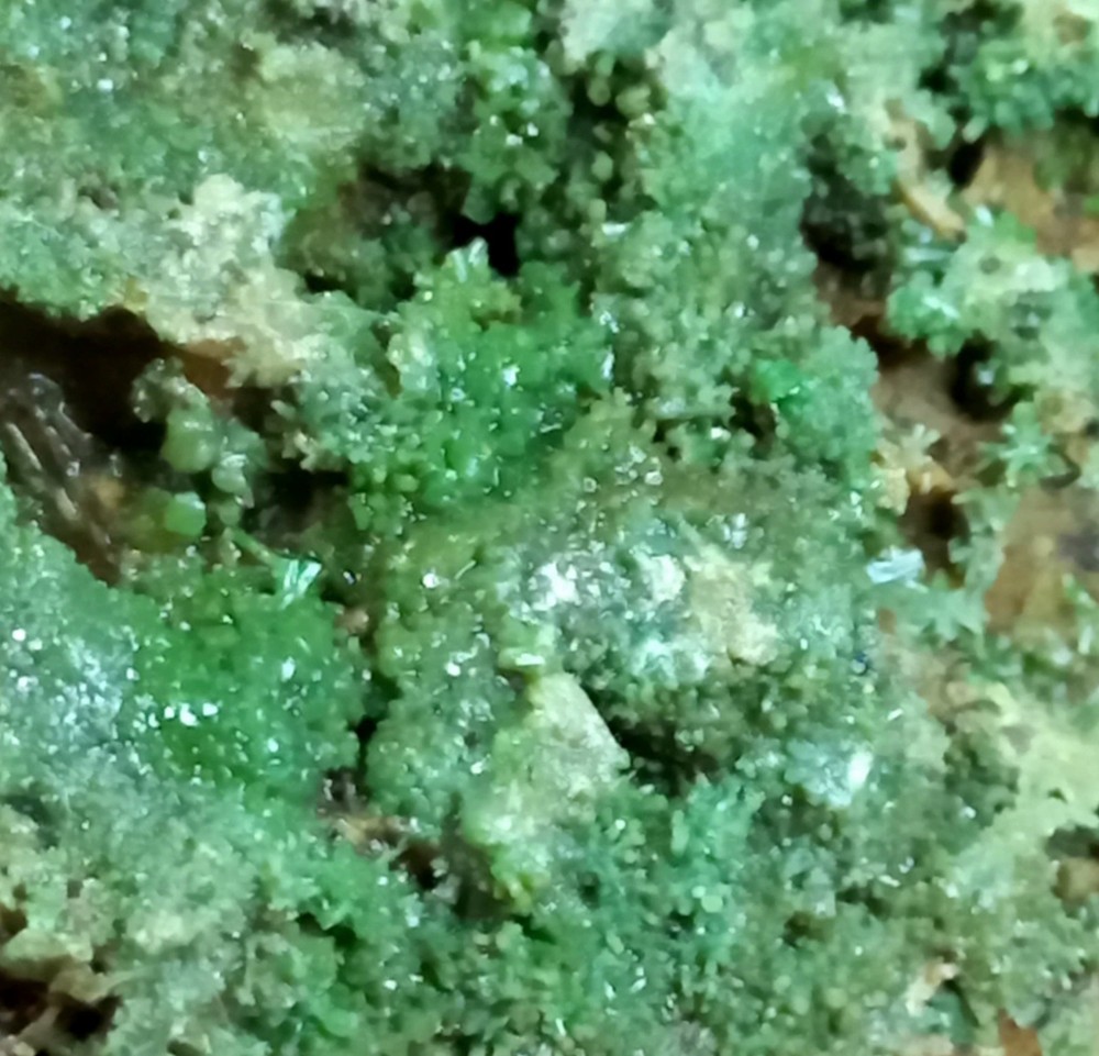 Pyromorphite Sardinia