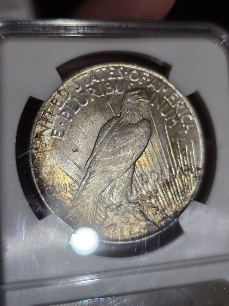 1925 Peace Dollar $1 Silver Coin NGC MS64 Toned