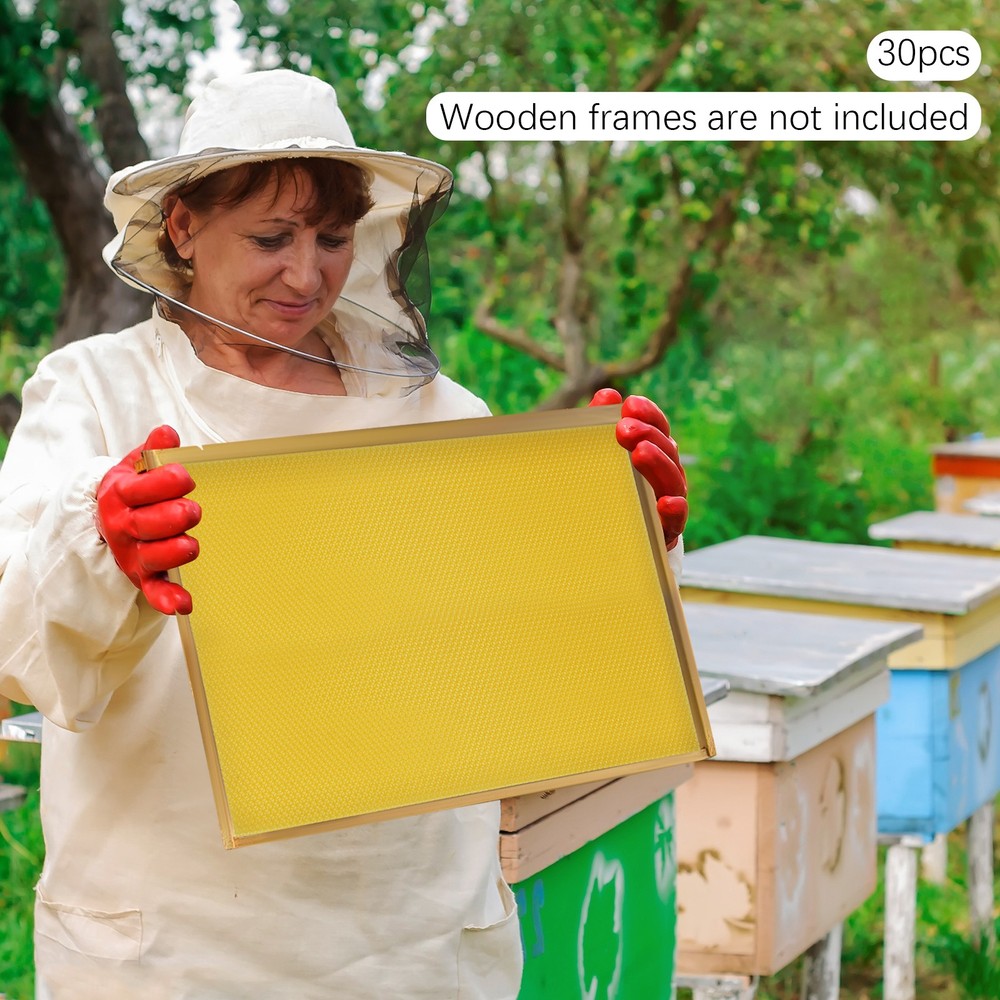30 Pack Beeswax Sheets Beekeeping Foundation for Hive Honeycomb Building