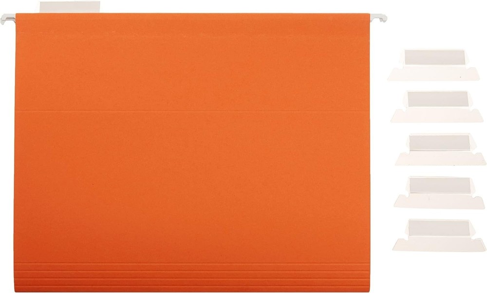 Basics Hanging Organizer File Folder for Efficient Filing Assorted Colors 25pack