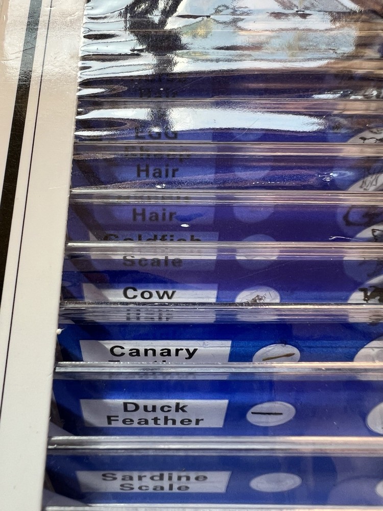 Prepared Slides Educational Type 12 Kinds