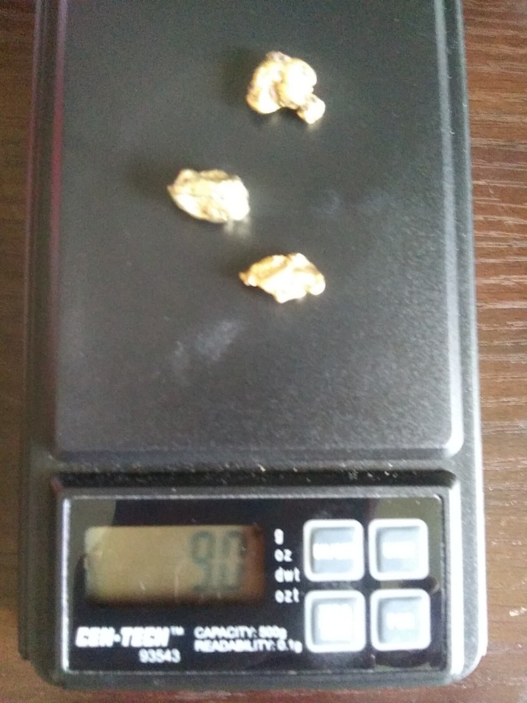 9.0g Gold - 3 Nuggets