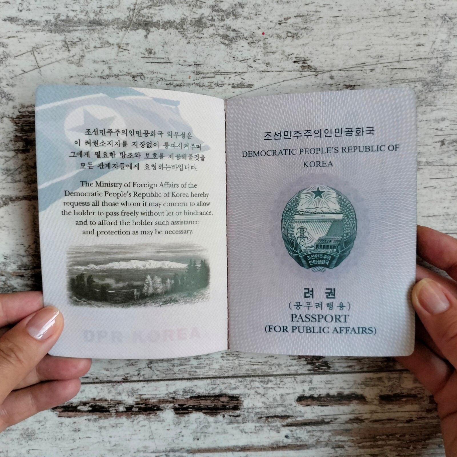 North Korea passport prop. Novelty passport cosplay. Play passport notebook.