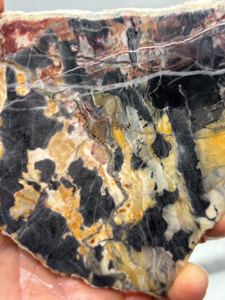 Large Roan Leopard Marble Rough Slab Cabbing Lapidary Combo Ship Avail