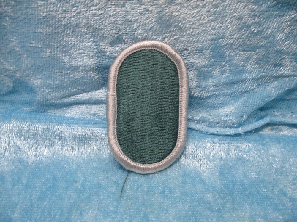 105th Military Intelligence Patch