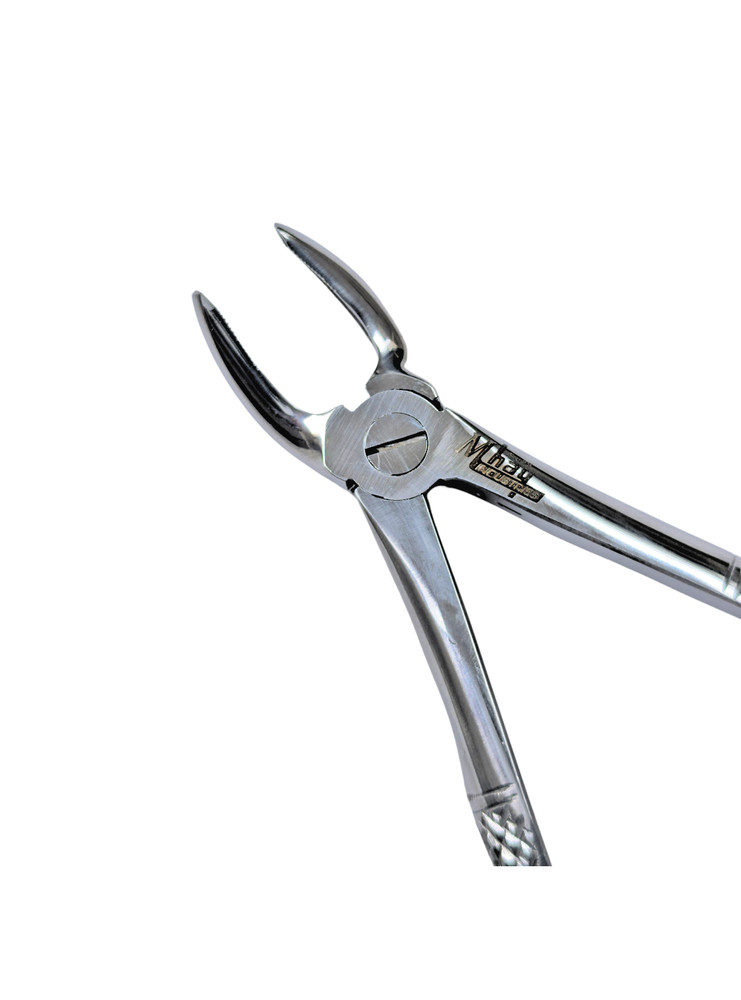 Dental Extraction Curved Forceps 7"