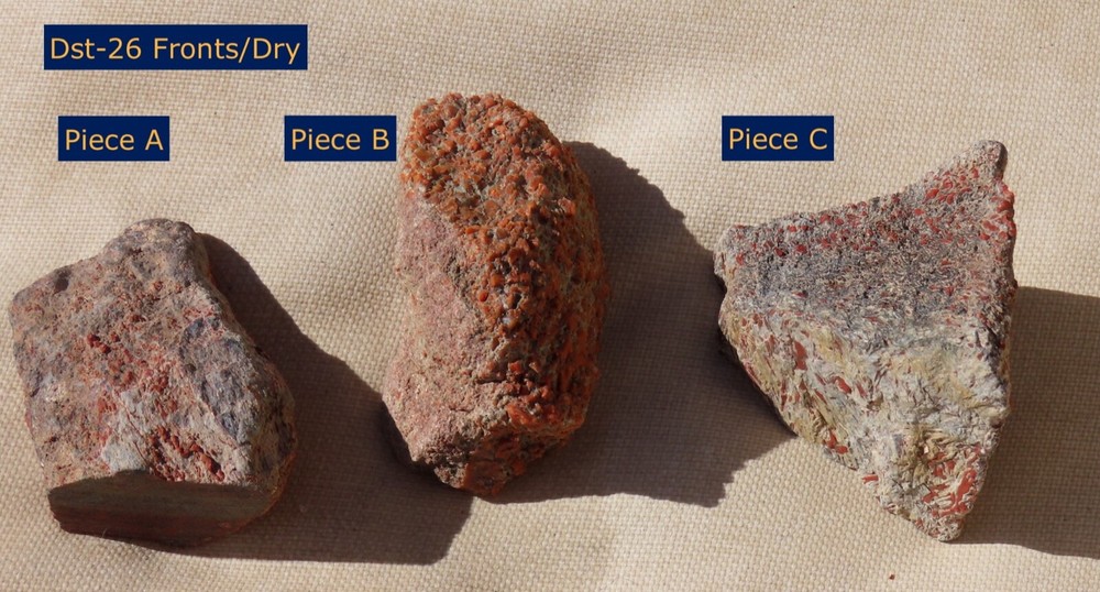Fossil Dinosaur Gem Set- Dst26- Three pieces- Jurassic/Morrison Formation