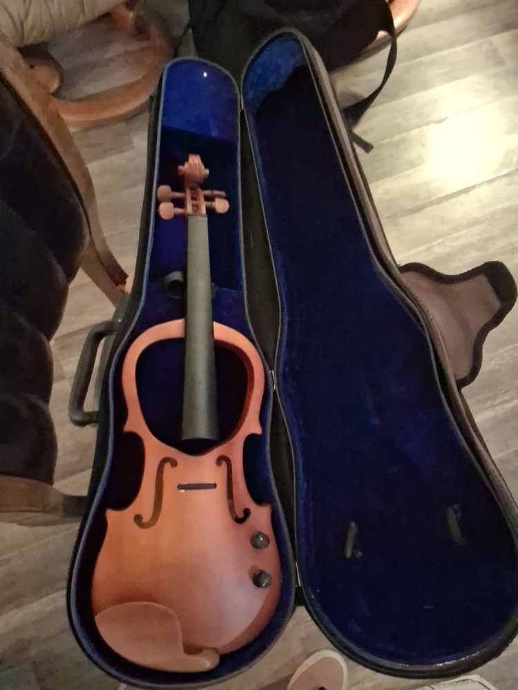 Electric Violin And Case