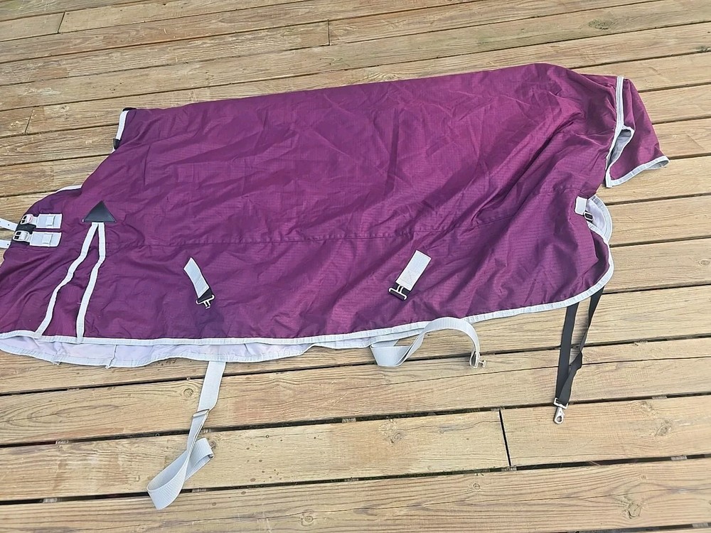 horse blanket