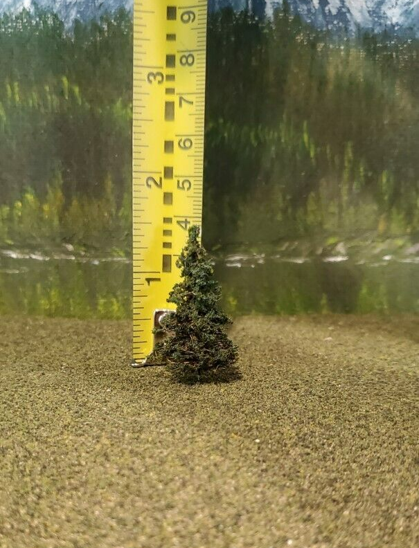 MOOSE CREEK TREES - Fir Pine Trees (1.5" x 20 Trees) Model Trains HO N Z Scale