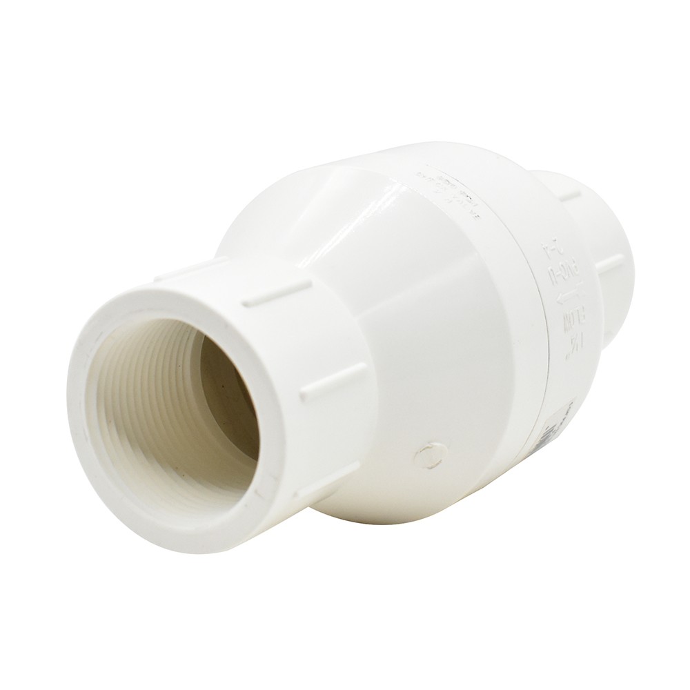 Thrifco 6415183 1-1/4 Inch Threaded Spring Check Valve
