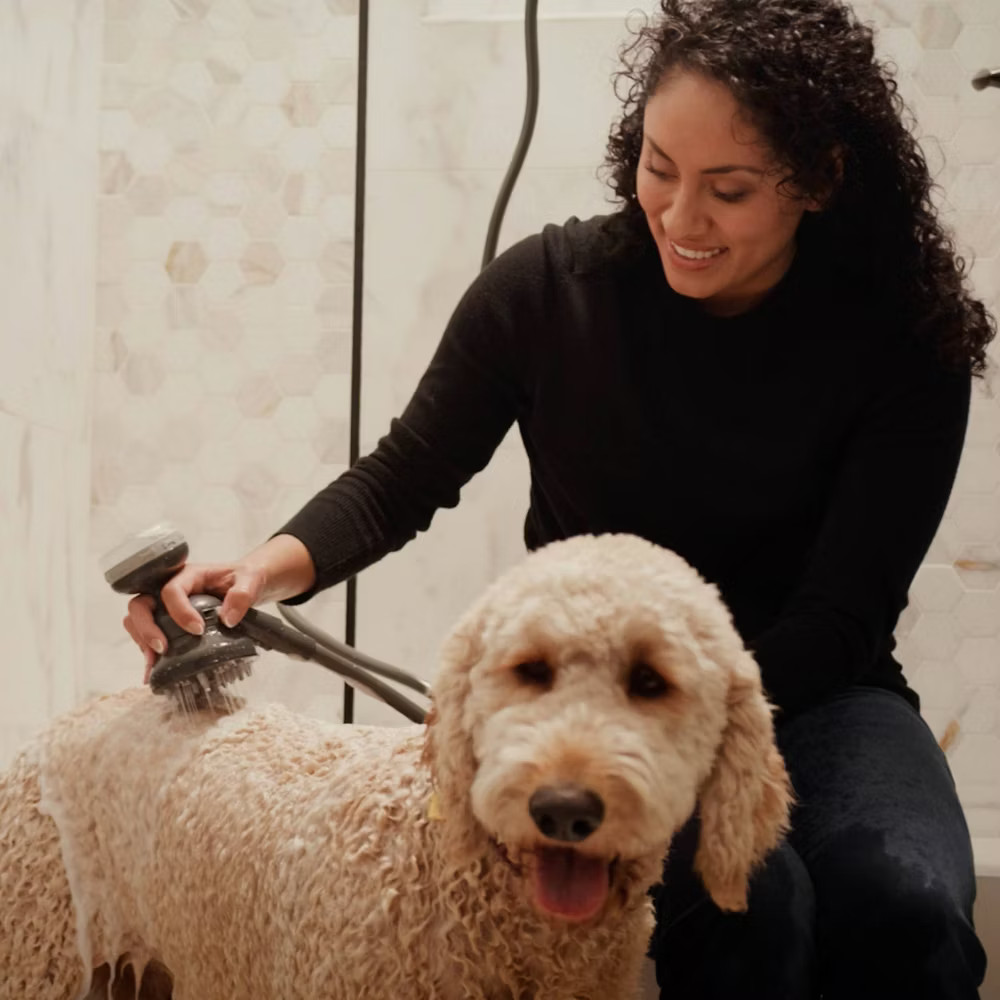 PawSpa PetJetPro 11-Setting Handheld Pet Washer - Gray