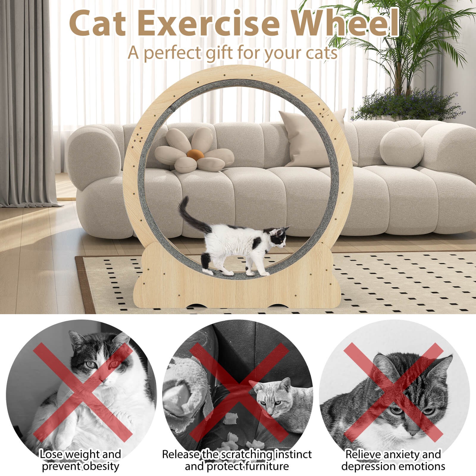 Cat Exercise Wheel w/ Carpet &Lockable Mechanism Non-slip Wide Base Wide Base