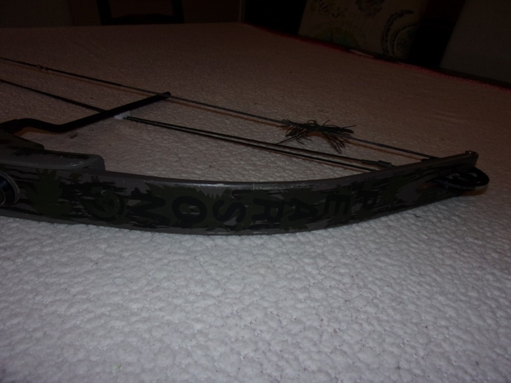 Ben Pearson Compound Bow