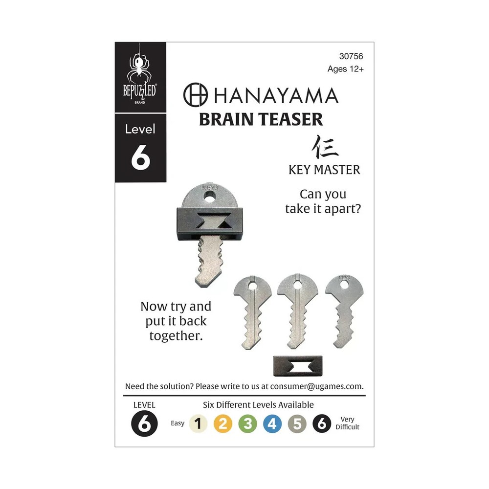 BePuzzled Hanayama Level 6 Cast Puzzle - Key Master