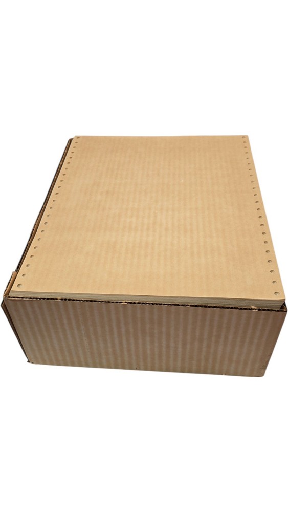 OFF WHITE Continuous Dot Matrix Vintage Printer Paper Tractor Feed 1000 Sheets