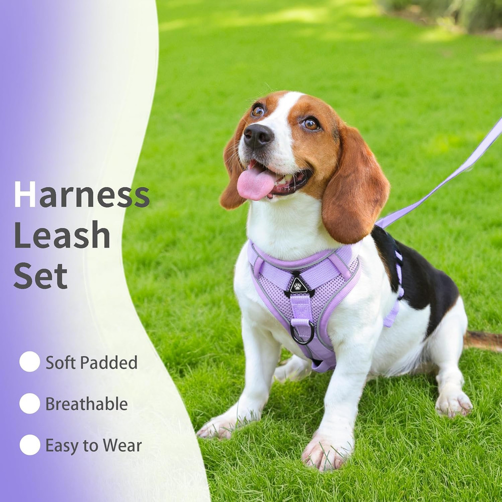 No Pull Dog Harness with Leash Set for Small Sized Dog, Reflective Adjustable No