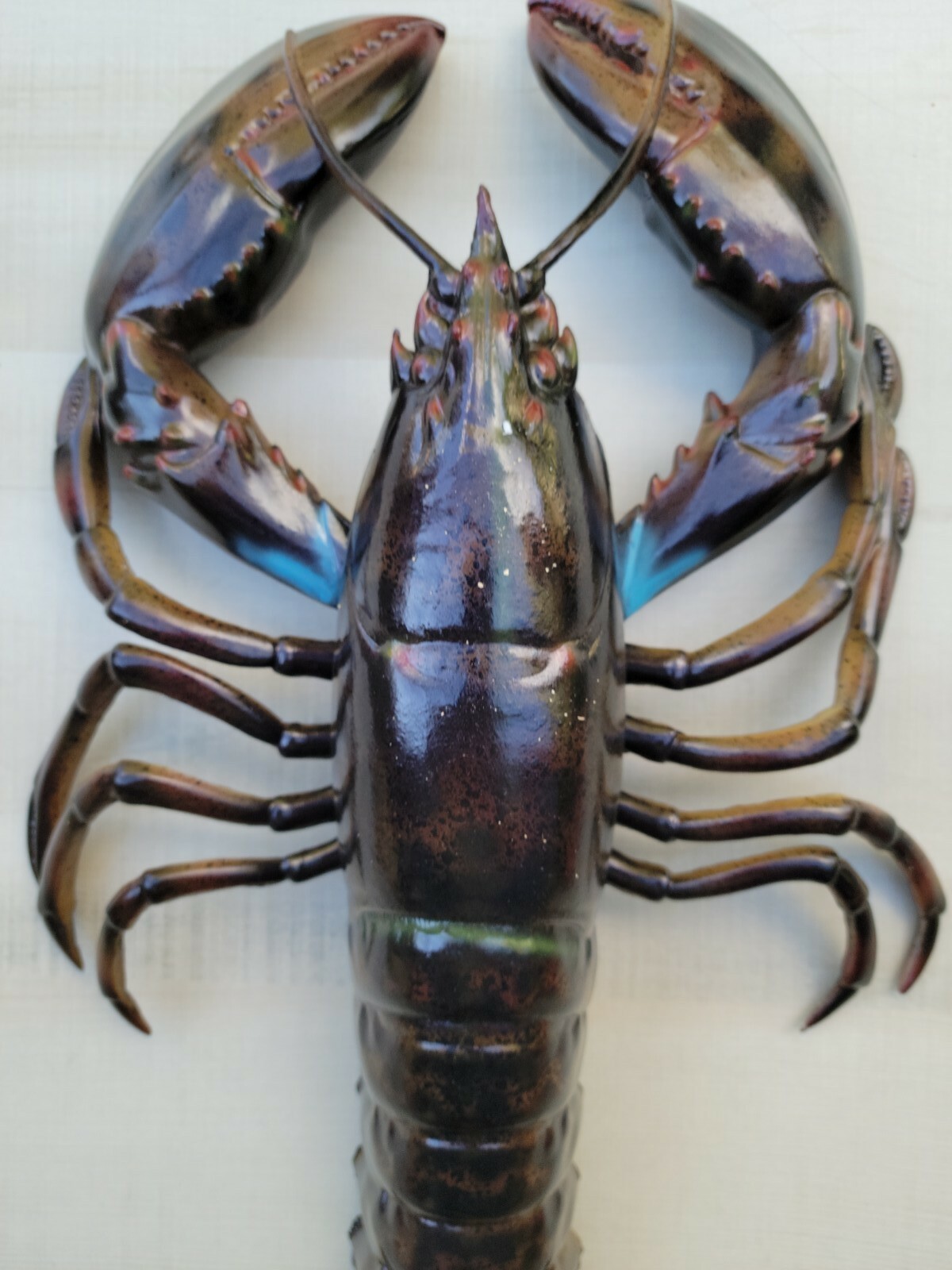 Lobster Maine Hand Painted 16" Replica Wall Sculpture Beach Decor Seafood