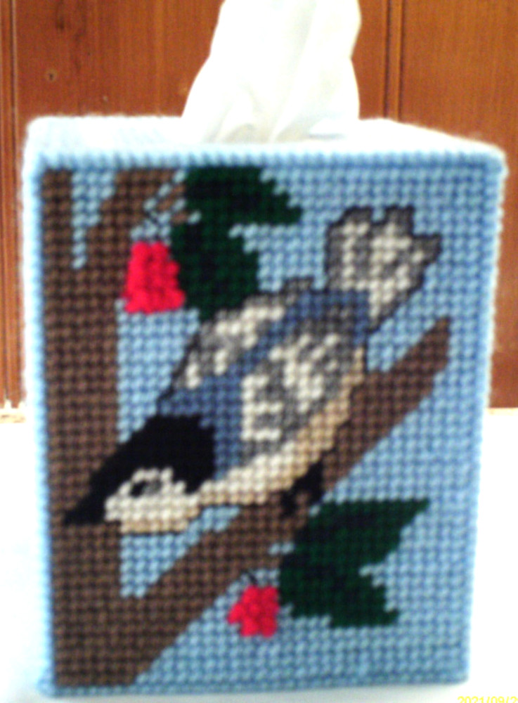 "Nuthatch & Leaves" Tissue Box Cover (Plastic & Yarn) Finished