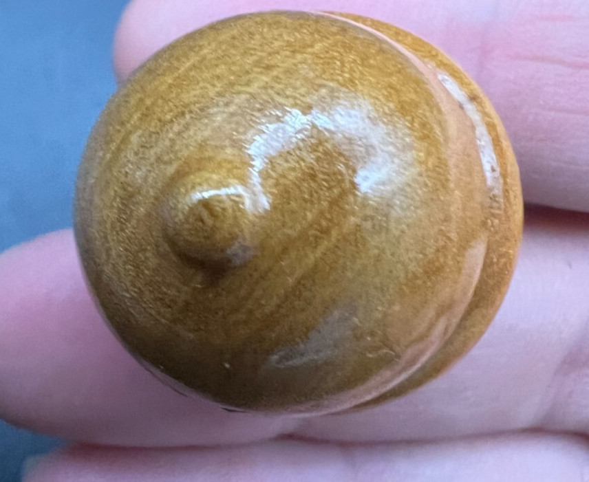 Wooden Acorn Keychain