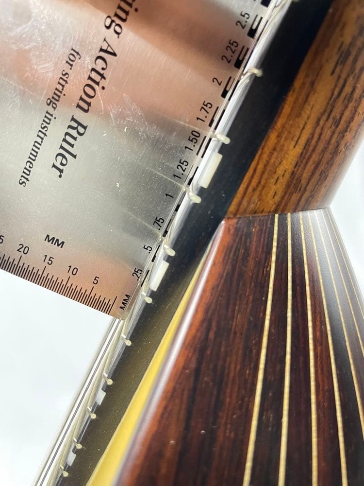 ASTURIAS MS-1bis mandolin with case