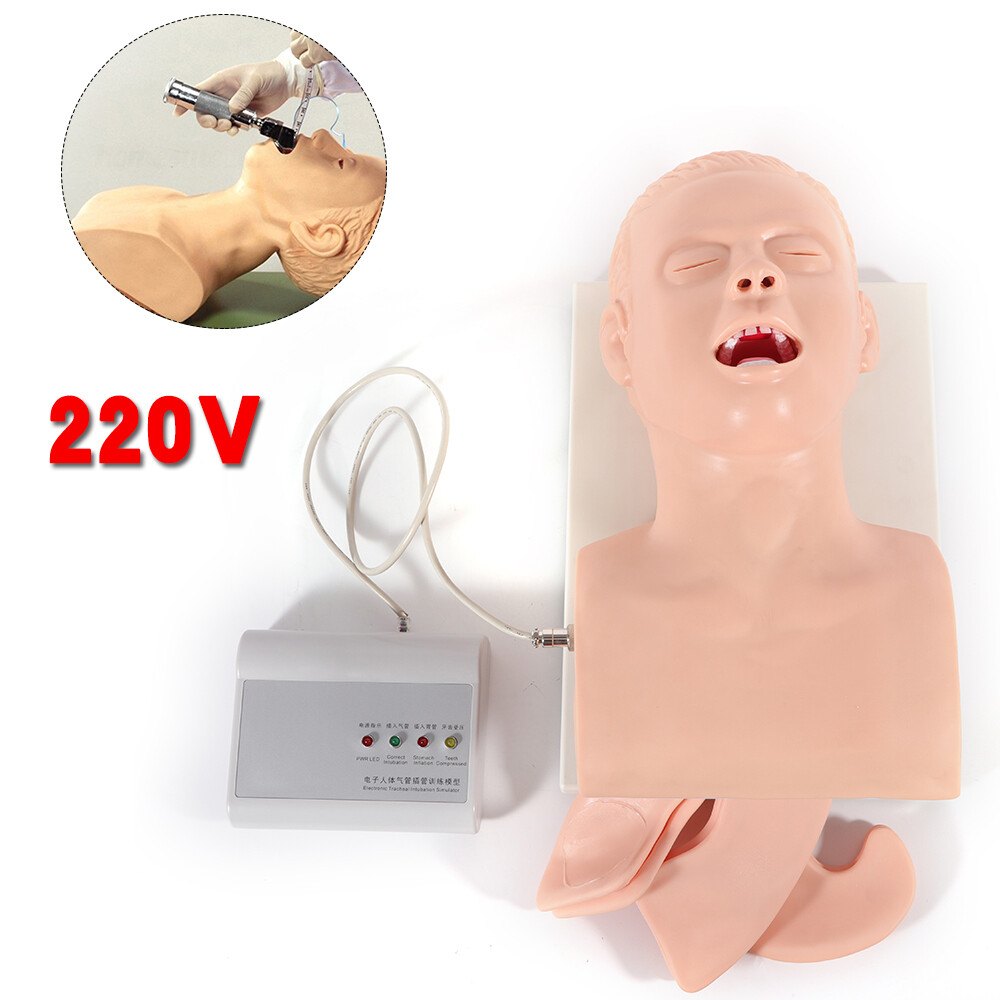 Intubation Manikin Study Teaching Model Airway Management Trainer Tool PVC 220V