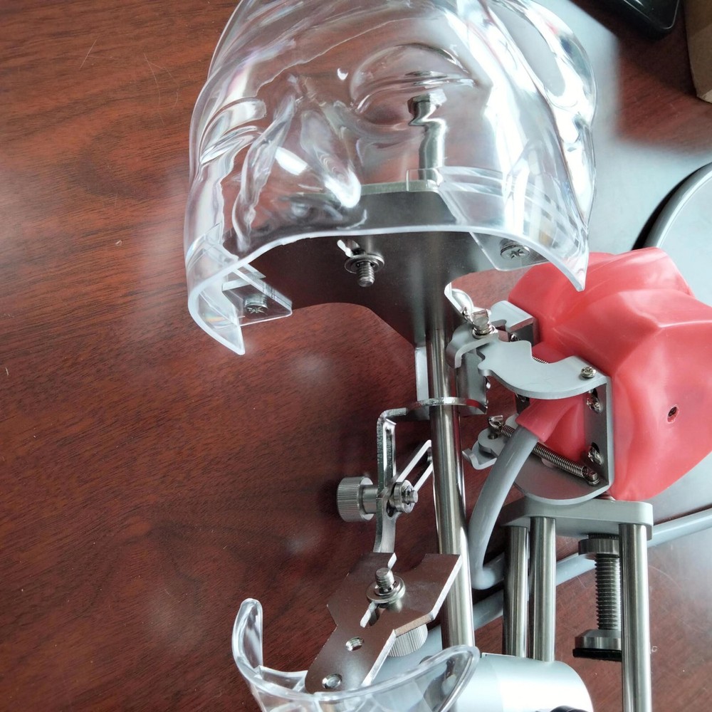 Dental Simulator Phantom Head Model Dental Preparation Support