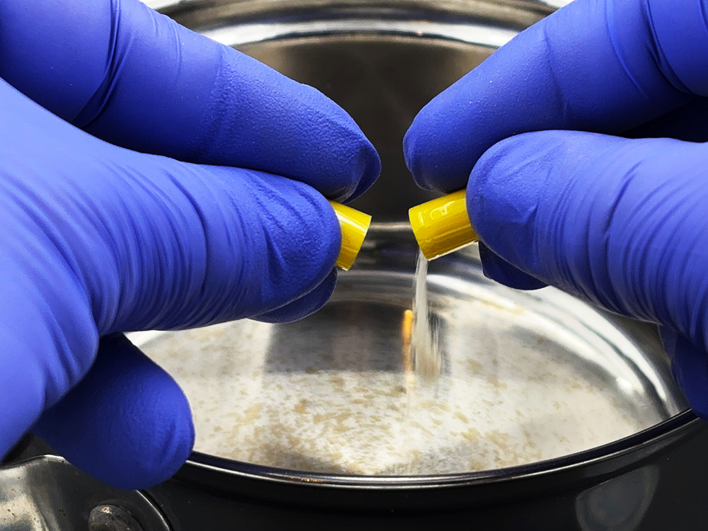 Slime Mold Educational Science Kit, Physarum polycephalum Study Project