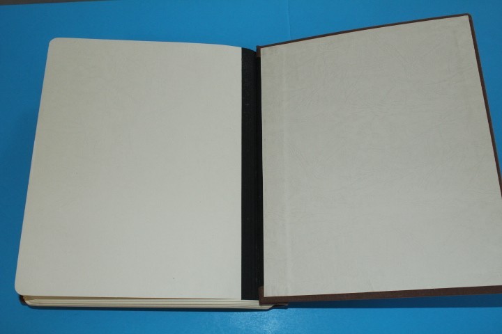 Germany Zones Locals 1945 Lighthouse Specialty Springback Album BlueLakeStamps