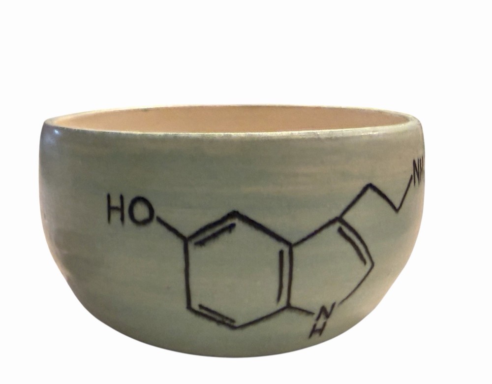 Studio Art Pottery Handmade Stoneware Ceramic Bowl Science Molecule Signed