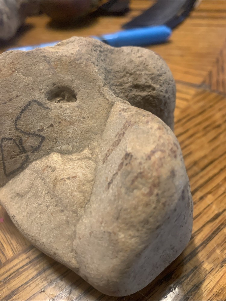 Fossils