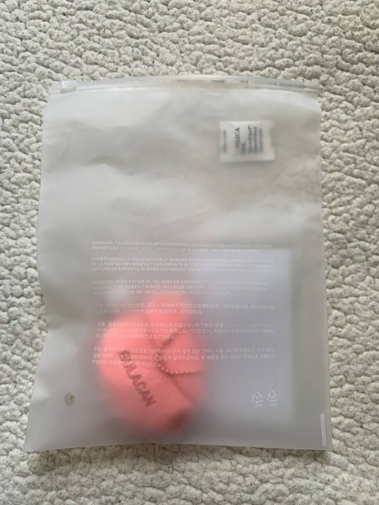 Seventeen NEW_ Bongbongee Plush Keyring