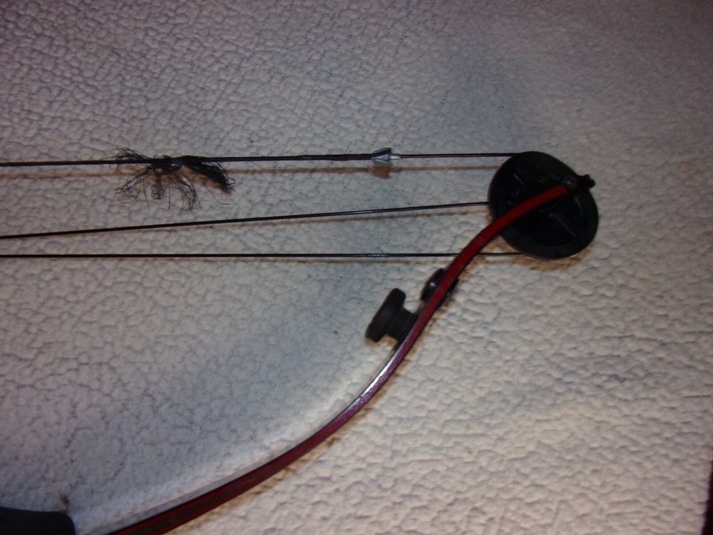 Darton Archery 50MXR Compound Bow
