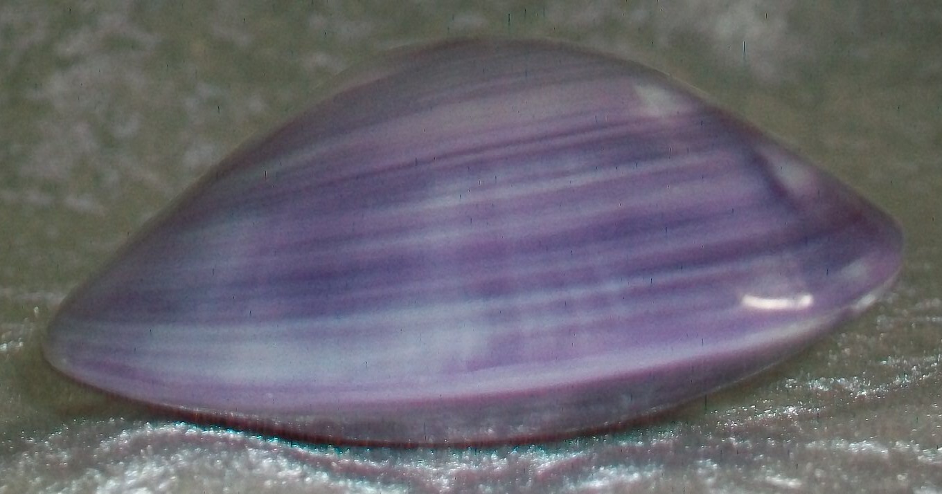 Hand Polished Violet Purple Saltwater Clam Clamshell Beach Nautical Table Decor