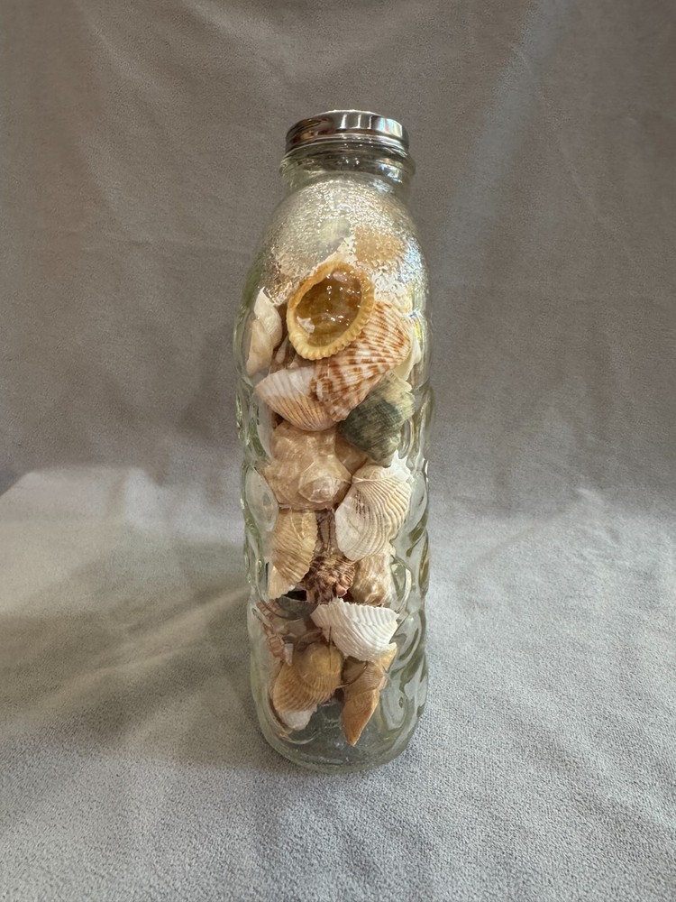 Shell Filled Bubble Textured Surface Jar with Lid