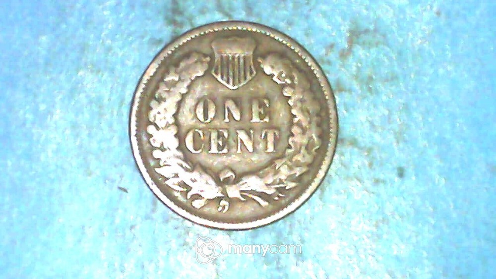 1901 1C BN Indian Cent In ~ Good Condition 1/22