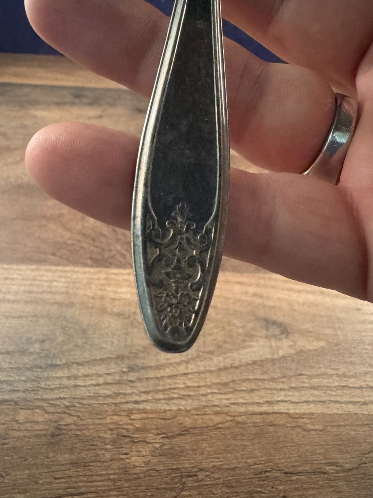 Wm Rogers & Son Soup Spoon Silverplated Lady Doris/Princess Pattern