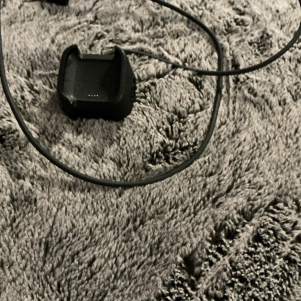 Fitbit Versa2 Charger Cable (FB171RCC)