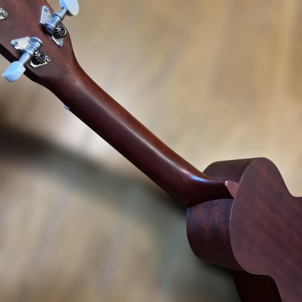 ARIA soprano ukulele with case